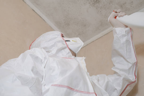 Certified Mold Removal in Columbus, OH