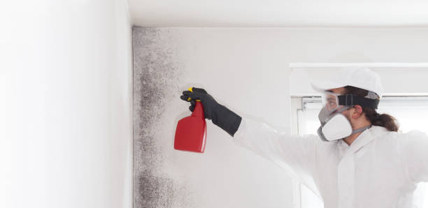 Best Professional Mold Removal  in Columbus, OH